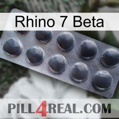 Rhino 7 Beta 30